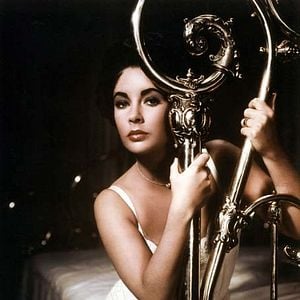 Photo La Chatte sur un toit brûlant