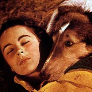 Photo Fred M. Wilcox