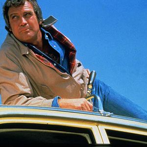 Photo L'Homme qui tombe à pic