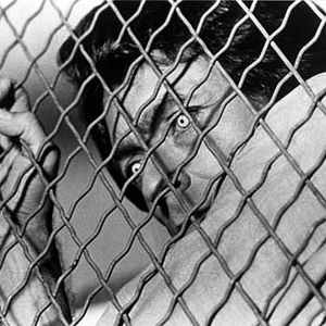 Photo L'Incroyable Hulk