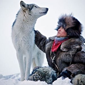 Photo Loup