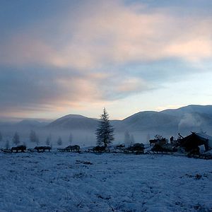 Photo Loup