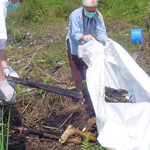 Photo Alison Thompson