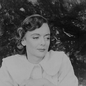 Photo L'Oeil sauvage