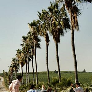Photo Reshef Regev Levi