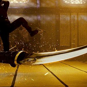 Photo Ninja Assassin