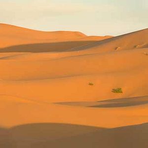 Photo Prince of Persia : les sables du temps