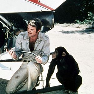 Photo L'Homme qui valait 3 milliards