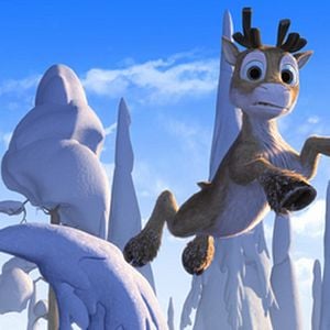 Photo Niko, le petit renne