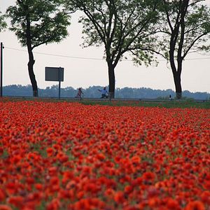 Photo Septième ciel