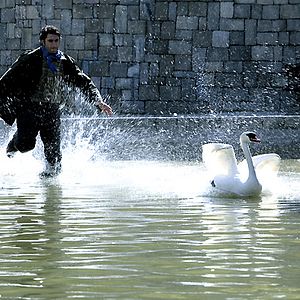 Photo Pour un Instant, la Liberté