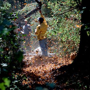 Photo Louie Schwartzberg