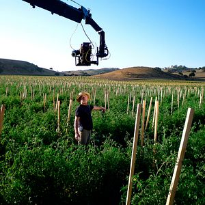 Photo Louie Schwartzberg