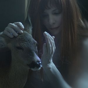 Photo Bruno Aveillan