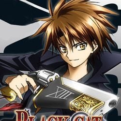 Black Cat - Série TV 2005 - AlloCiné