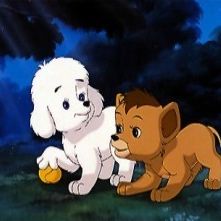 Photo Simba, le roi lion