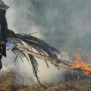 Photo Sylvaine Dampierre