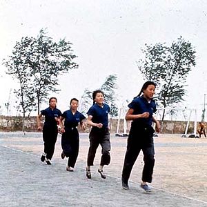 Photo Michelangelo Antonioni