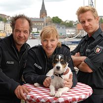 Photo Sacré Charlie