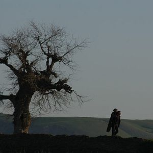 Photo Samira Makhmalbaf