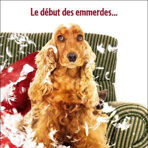 Photo Bambou