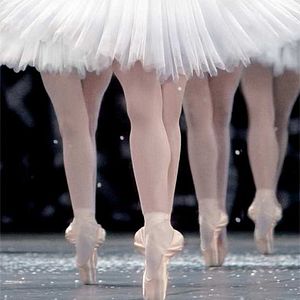 Photo Frederick Wiseman