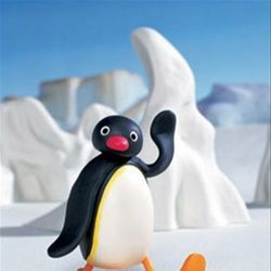 Photo Pingu
