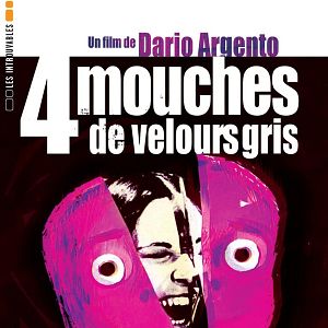 Photo Quatre mouches de velours gris