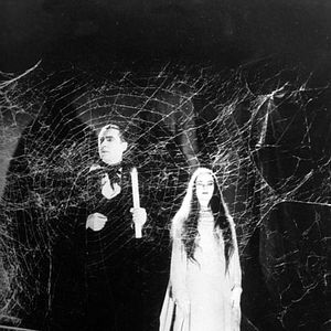Photo Elizabeth Allan