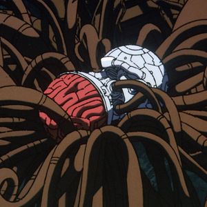 Photo Hiroyuki Kitakubo