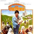 Photo Au bonheur des chiens