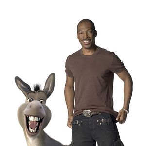 Photo Mike Mitchell (V)