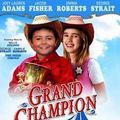 Photo Grand Champion
