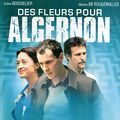 Photo Des fleurs pour Algernon