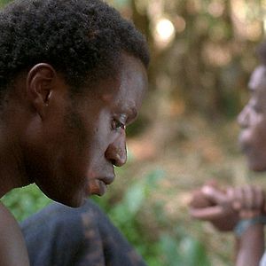 Photo Philippe Van Leeuw