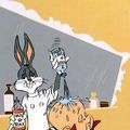 Photo Rabbit of Seville