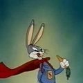 Photo Super-Rabbit