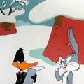 Photo Duck! Rabbit, Duck!
