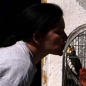 Photo Denis Gheerbrant