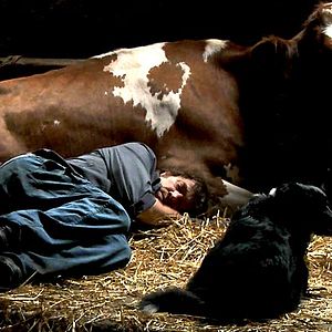 Photo Coeur animal