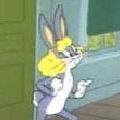 Photo Now, Hare This