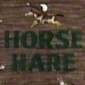 Photo Horse Hare