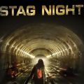 Photo Stag Night