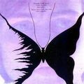 Photo Ailes de papillon