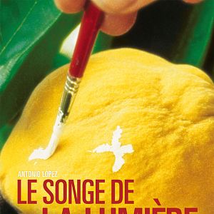 Photo Le Songe de la lumiere