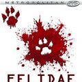 Photo Felidae