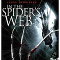 Photo In the Spider's Web