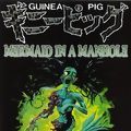Photo Guinea Pig : Mermaid in the Manhole