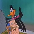 Photo The Ducksters