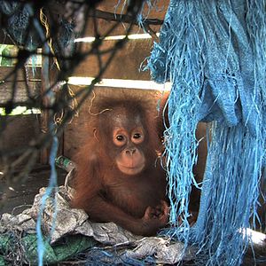 Photo Patrick Rouxel